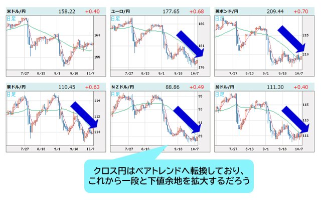 世界の通貨VS円 日足チャート
