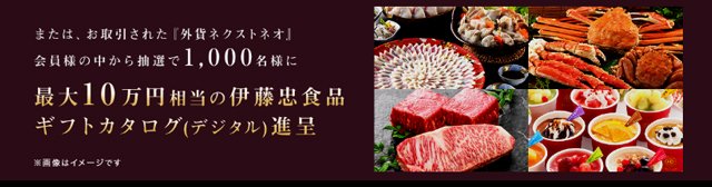 「20周年記念総額1億円キャンペーン」第4弾でもらえるプレゼントその2 「伊藤忠食品ギフトカタログ」