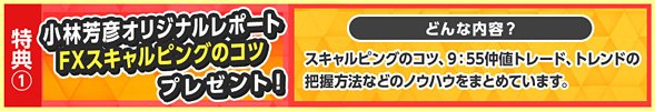 小林芳彦オリジナルレポート概要