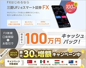 三菱UFJ eスマート証券「三菱UFJ eスマート証券FX」の公式サイトはこちら！