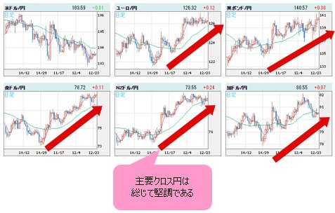 世界の通貨VS円 日足チャート