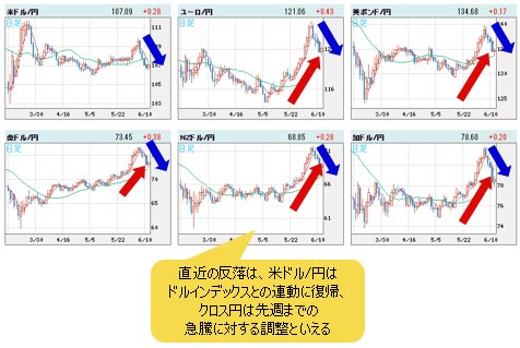 世界の通貨VS円 日足チャート