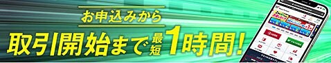 マネーパートナーズ スマホでクイック審査