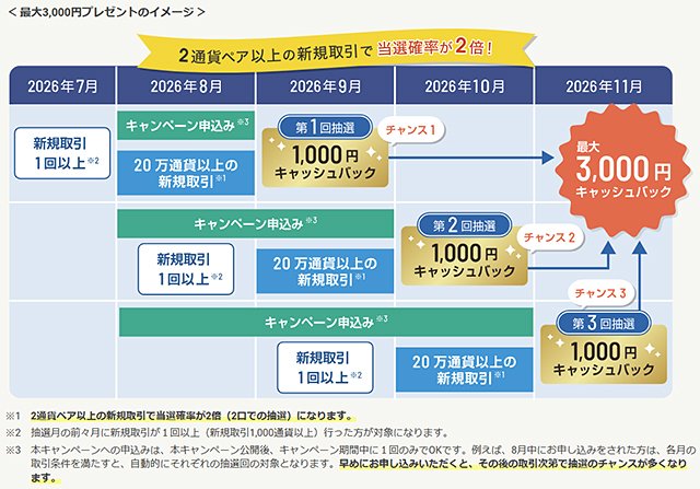 キャンペーンの条件や抽選のイメージ