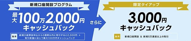 ザイFX!限定タイアップ&セントラル短資FXデビュープログラム