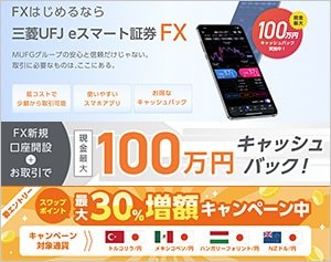 三菱UFJ eスマート証券「三菱UFJ eスマート証券FX」の公式サイトはこちら!
