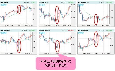 米ドルVS世界の通貨 日足