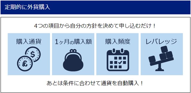 積立FXの定期購入時の選択項目