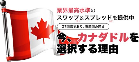 マネースクエアの特設ページ「今、カナダドルを選択する理由」